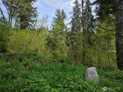 140 Skinner Road Woodland WA 98674