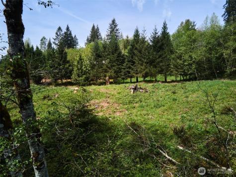 140 Skinner Road Woodland WA 98674