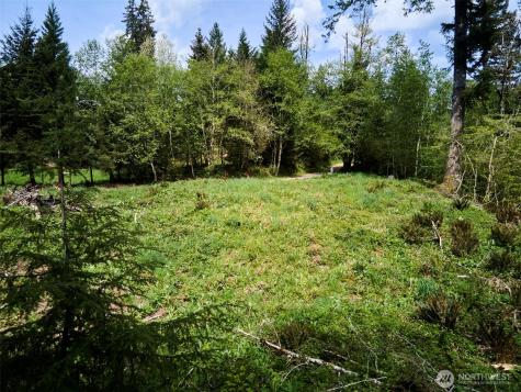 140 Skinner Road Woodland WA 98674