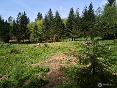 140 Skinner Road Woodland WA 98674