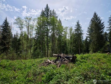 140 Skinner Road Woodland WA 98674