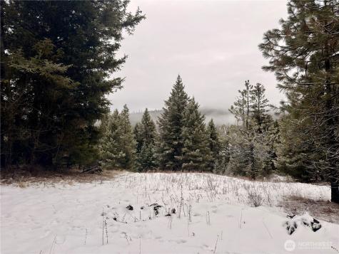 25 Miner's Ridge Road Oroville WA 98844
