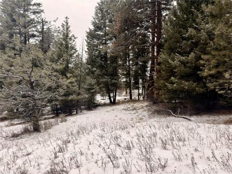 25 Miner's Ridge Road Oroville WA 98844