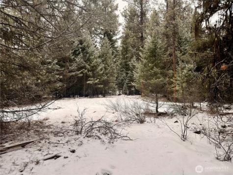 25 Miner's Ridge Road Oroville WA 98844