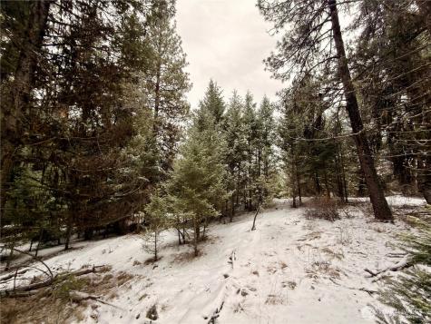 25 Miner's Ridge Road Oroville WA 98844