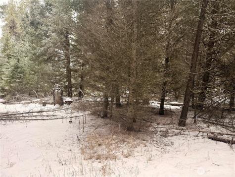 25 Miner's Ridge Road Oroville WA 98844