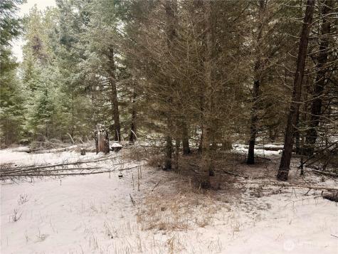 25 Miner's Ridge Road Oroville WA 98844