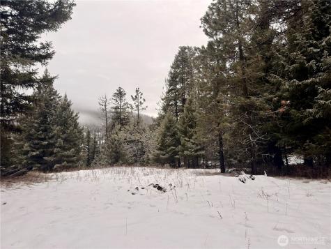 25 Miner's Ridge Road Oroville WA 98844