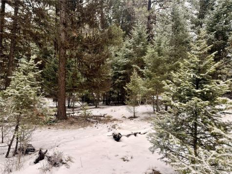 25 Miner's Ridge Road Oroville WA 98844