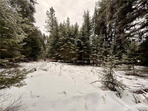 25 Miner's Ridge Road Oroville WA 98844