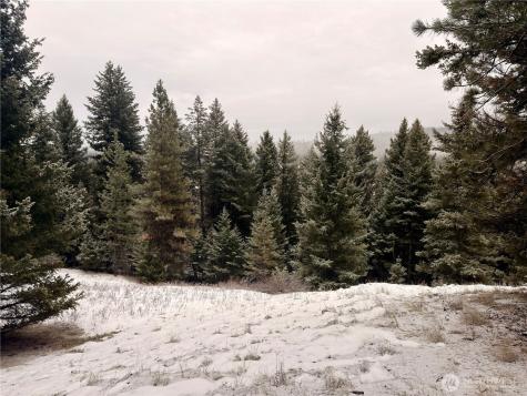 25 Miner's Ridge Road Oroville WA 98844