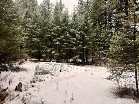 25 Miner's Ridge Road Oroville WA 98844