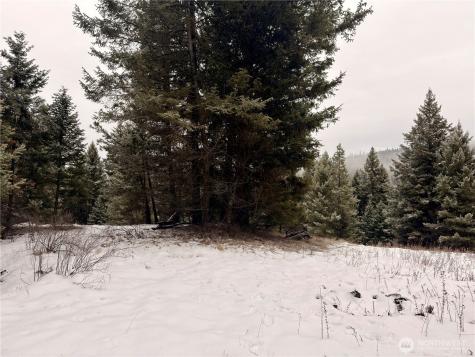 25 Miner's Ridge Road Oroville WA 98844
