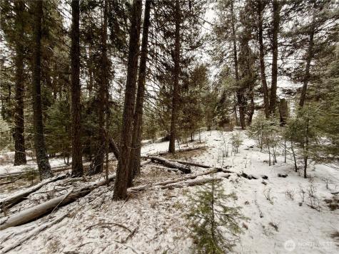 25 Miner's Ridge Road Oroville WA 98844
