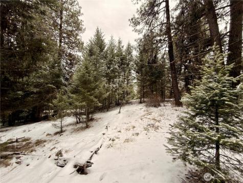 25 Miner's Ridge Road Oroville WA 98844