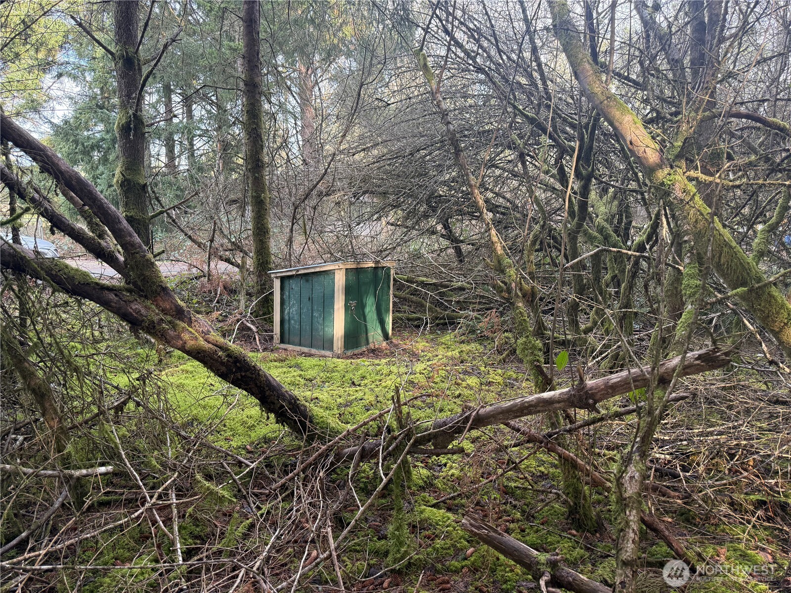 142 142nd Lane Long Beach WA 98631