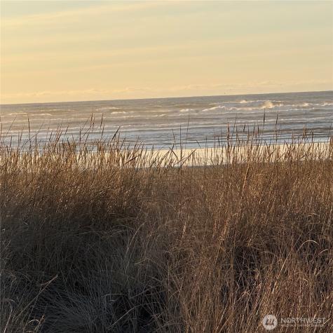 142 142nd Lane Long Beach WA 98631