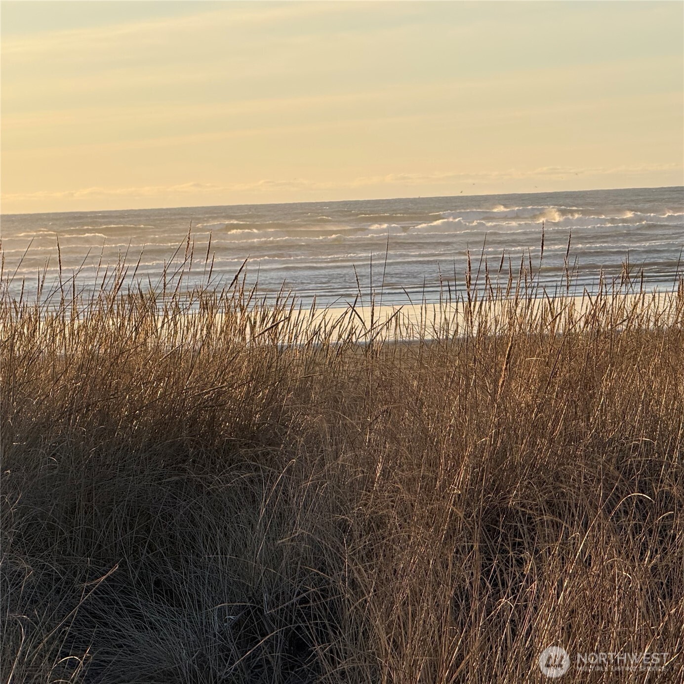 142 142nd Lane Long Beach WA 98631