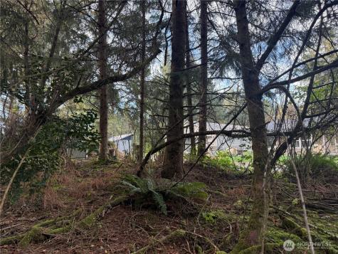 142 142nd Lane Long Beach WA 98631