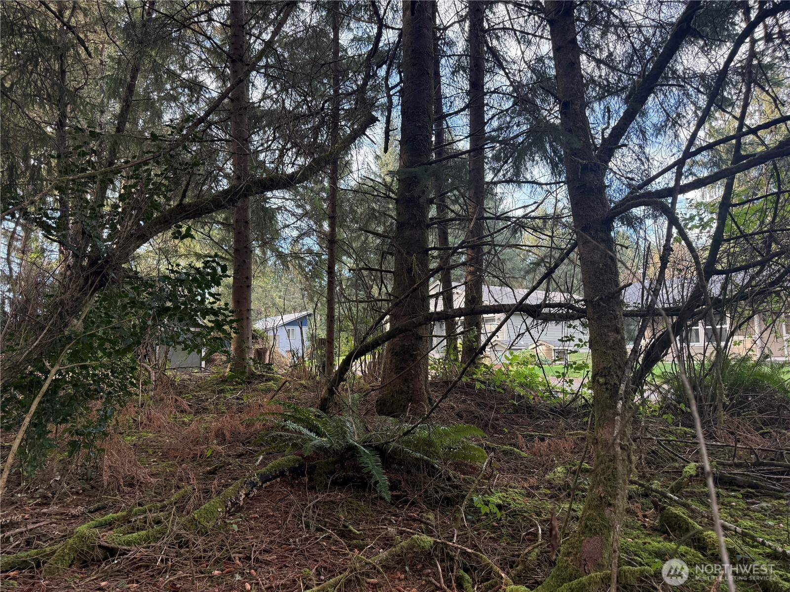 142 142nd Lane Long Beach WA 98631
