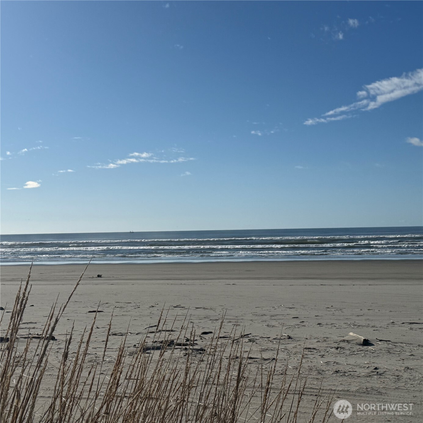 142 142nd Lane Long Beach WA 98631