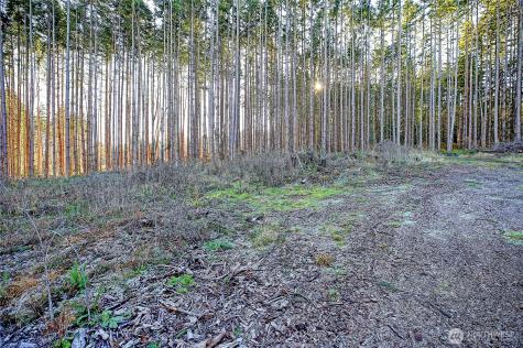 0 E Mountain View Road Camano Island WA 98282