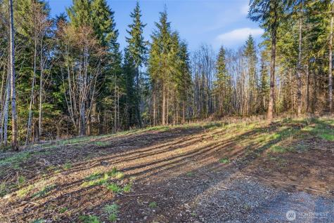 217 Durins Place Castle Rock WA 98611