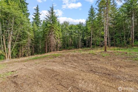 217 Durins Place Castle Rock WA 98611