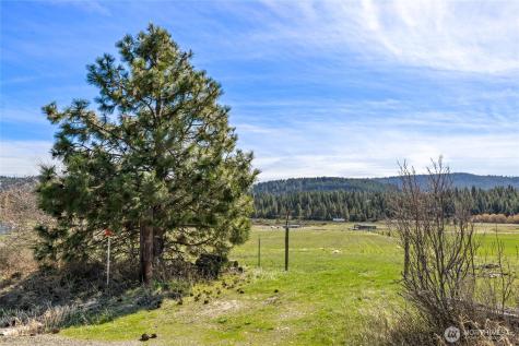 0 Lower Peoh Point Road Cle Elum WA 98922