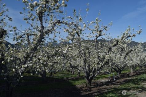 0 Kennedy Road Cashmere WA 98815