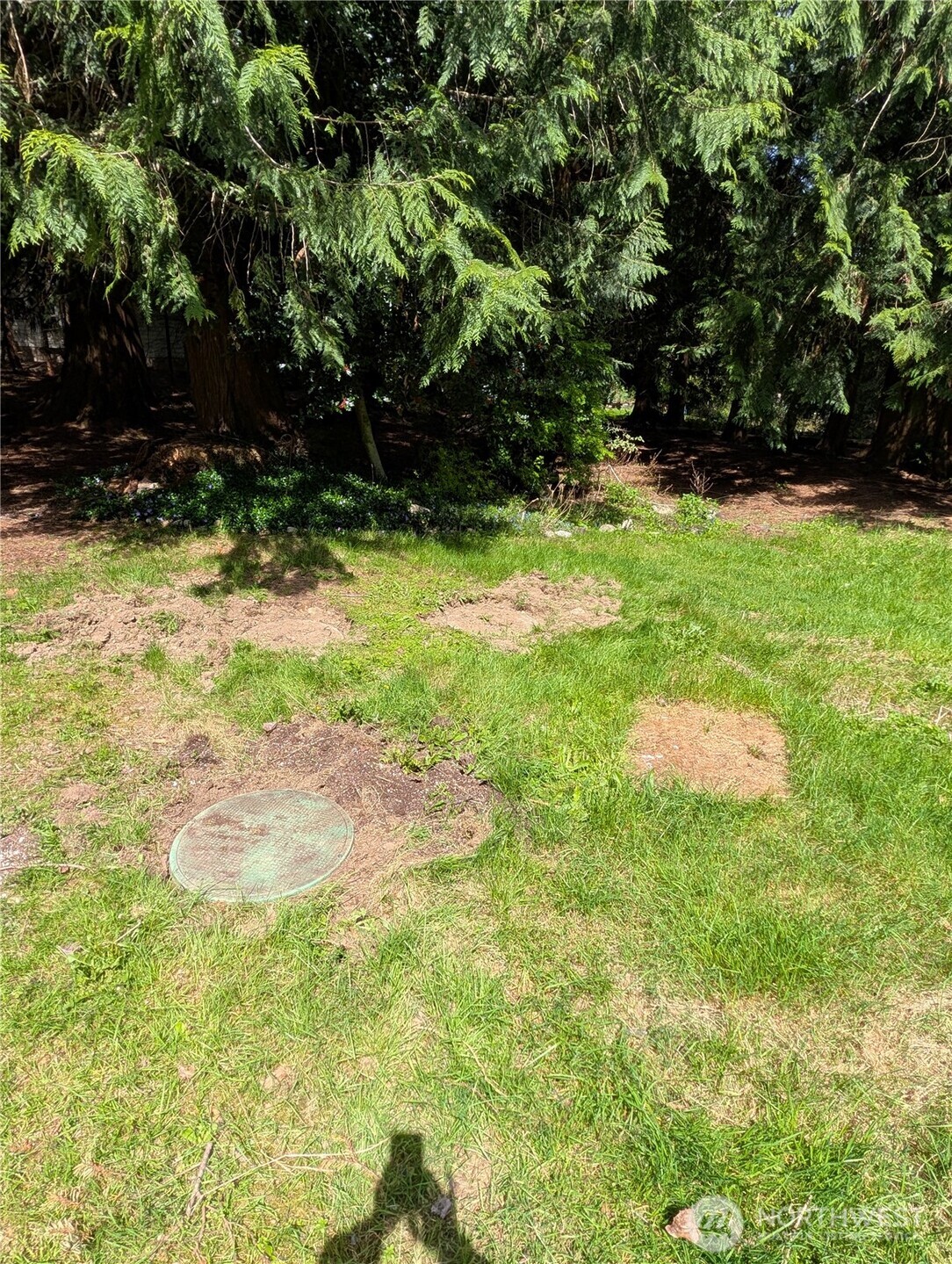 4611 268th Avenue NE Redmond WA 98053