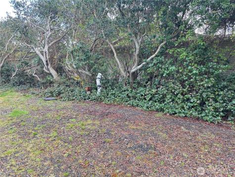 324 Clover Creek Avenue NW Ocean Shores WA 98569