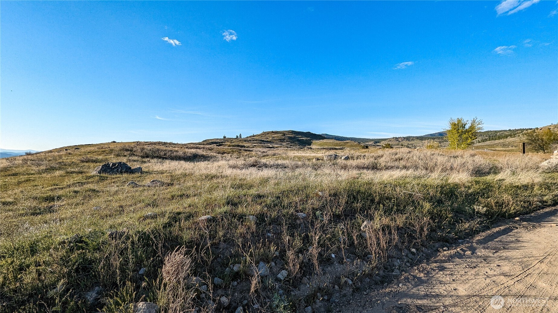 174 Round Up Road Oroville WA 98844