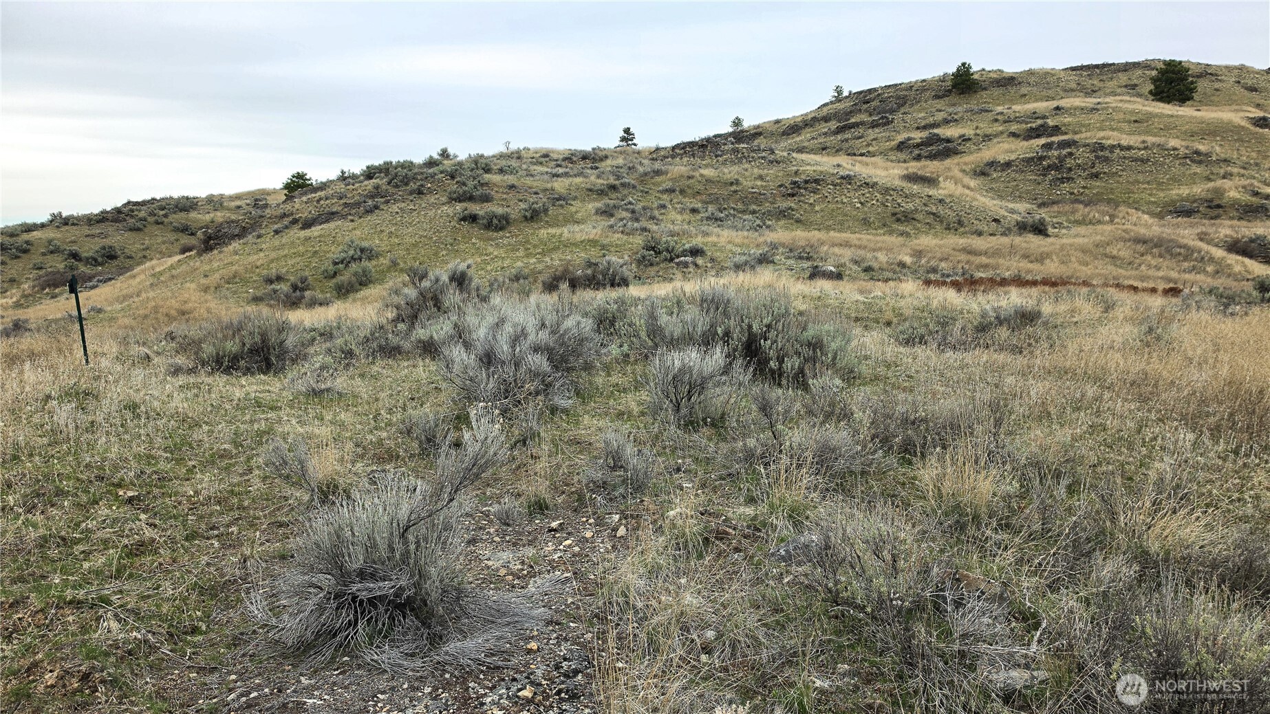 174 Round Up Road Oroville WA 98844