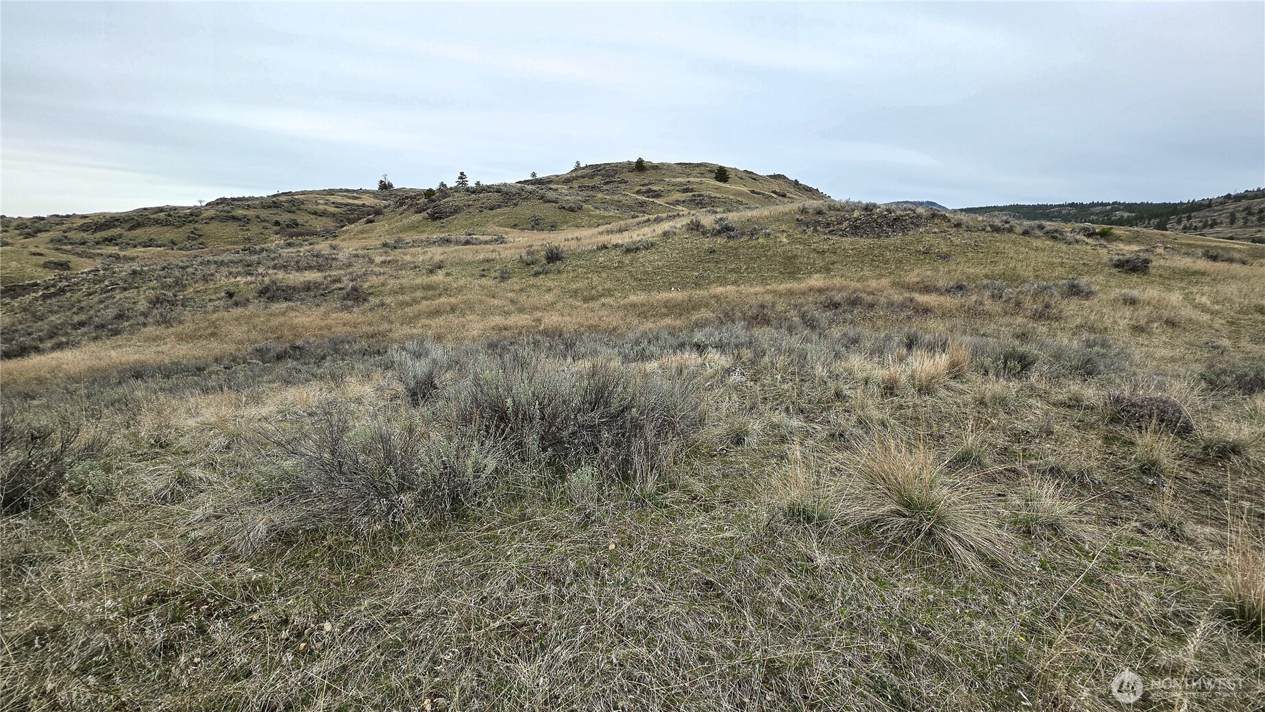 174 Round Up Road Oroville WA 98844