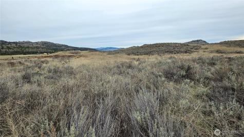 174 Round Up Road Oroville WA 98844