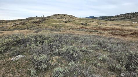 174 Round Up Road Oroville WA 98844