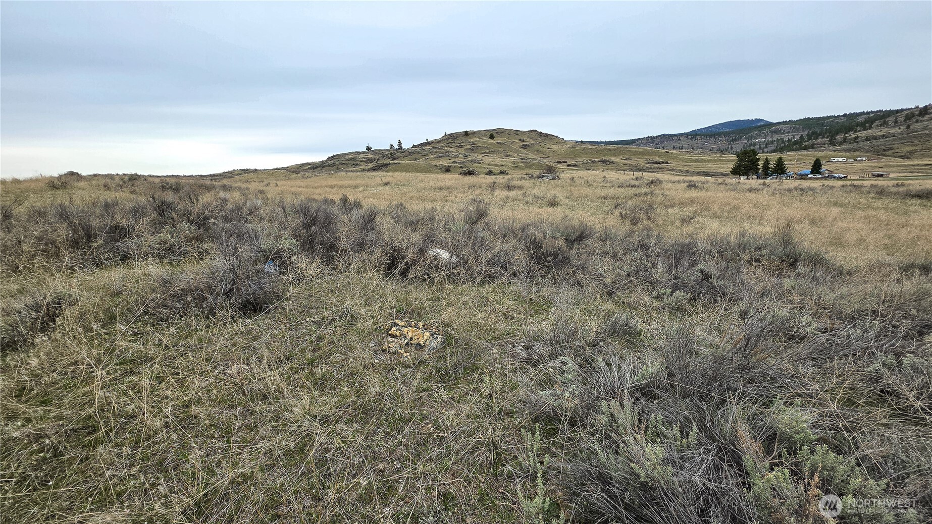 174 Round Up Road Oroville WA 98844