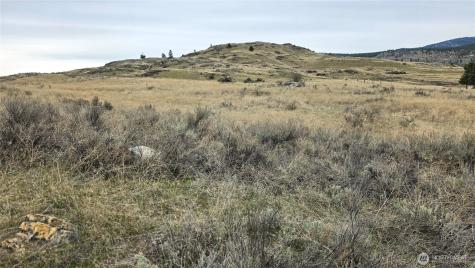 174 Round Up Road Oroville WA 98844