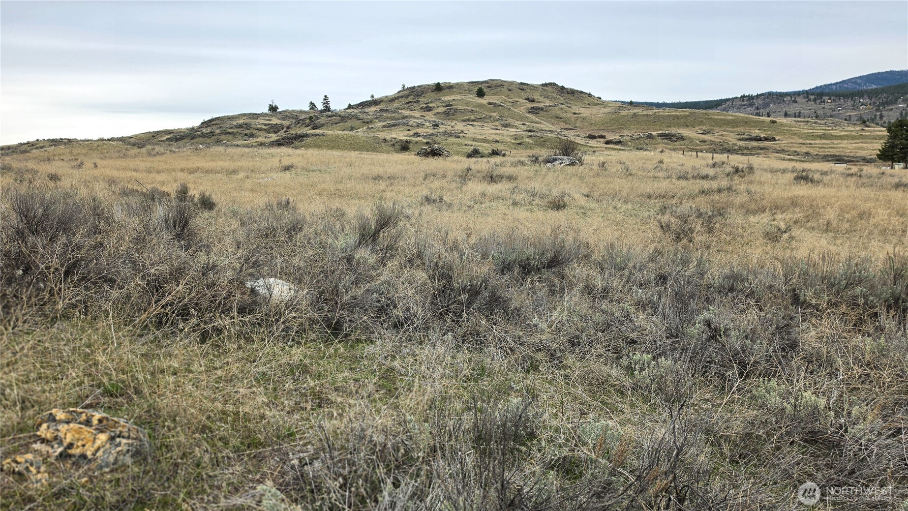 174 Round Up Road Oroville WA 98844