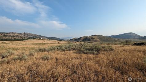 174 Round Up Road Oroville WA 98844