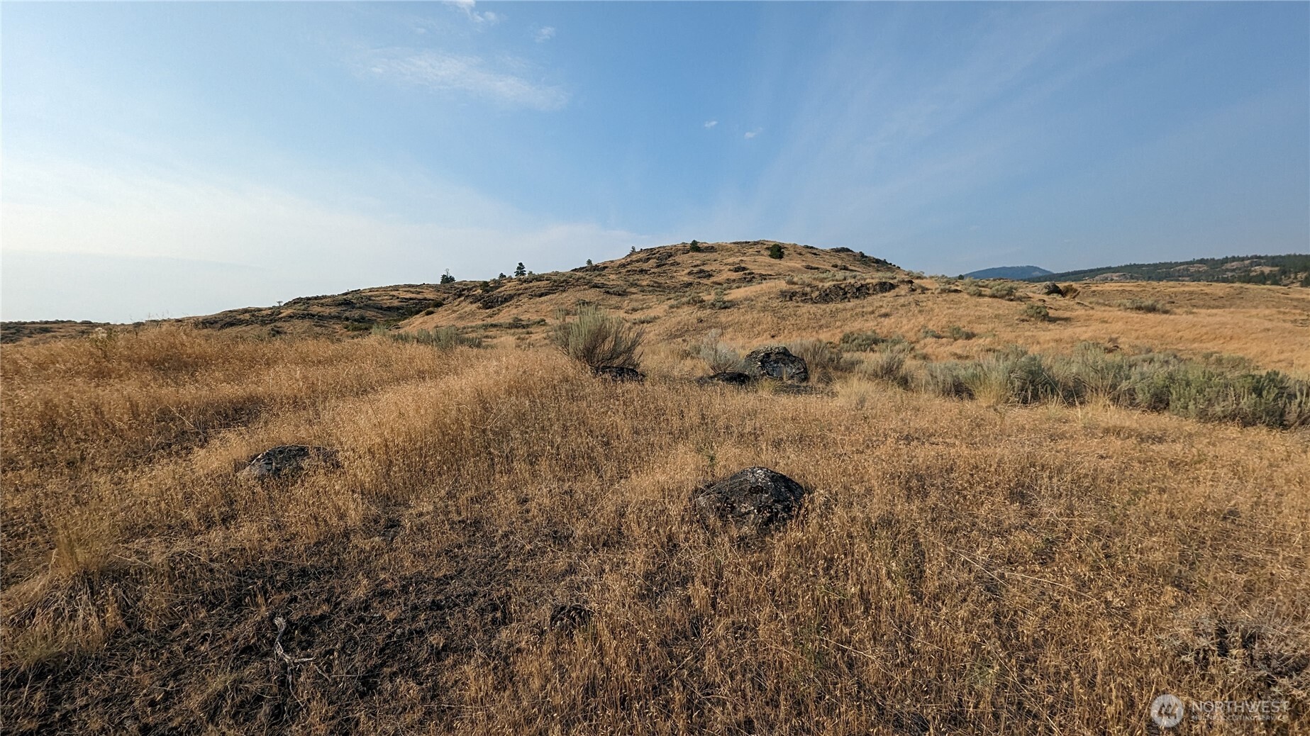 174 Round Up Road Oroville WA 98844