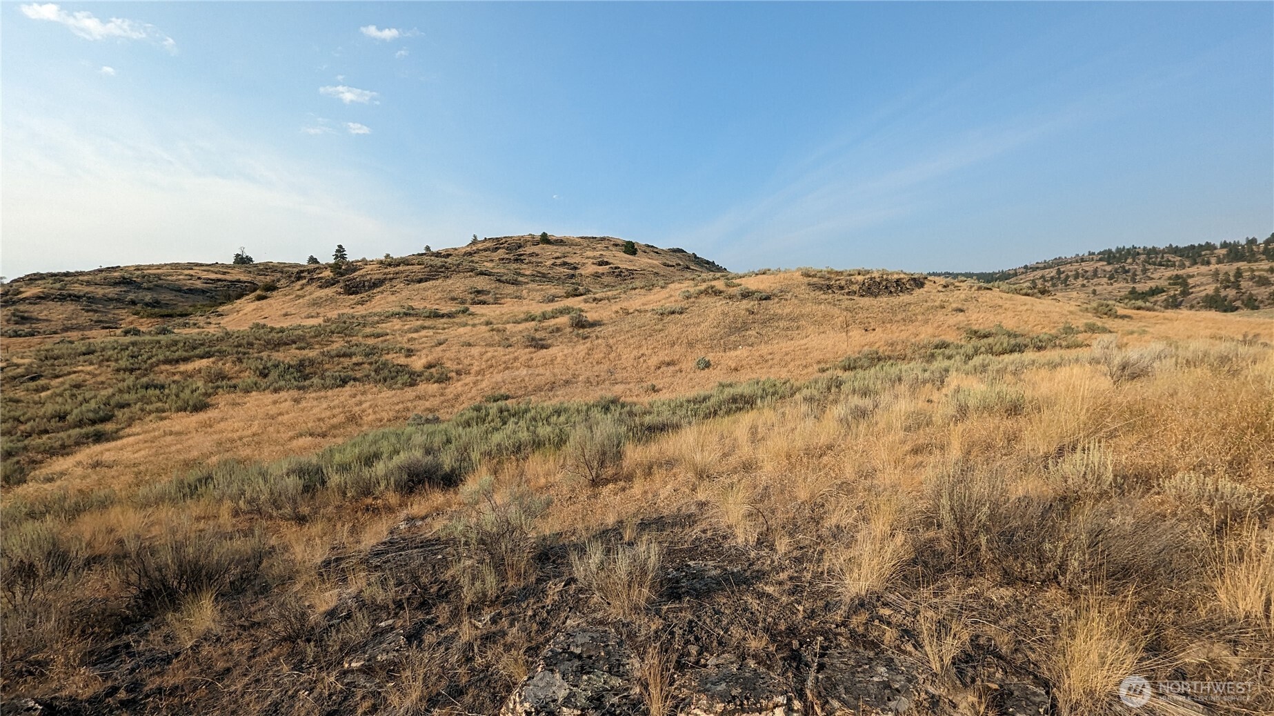 174 Round Up Road Oroville WA 98844