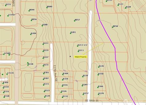 8213 118th Avenue SE Newcastle WA 98056
