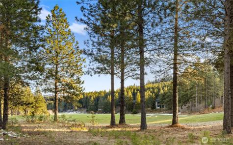 1150 Southern Star Lane Cle Elum WA 98922