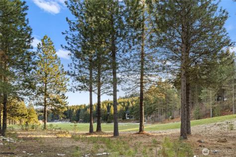 1150 Southern Star Lane Cle Elum WA 98922