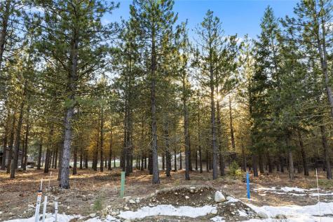 1150 Southern Star Lane Cle Elum WA 98922