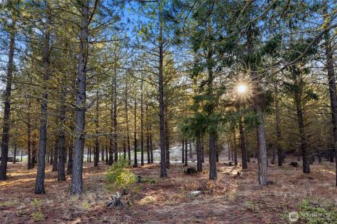 1150 Southern Star Lane Cle Elum WA 98922