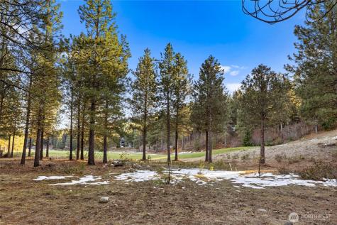 1150 Southern Star Lane Cle Elum WA 98922