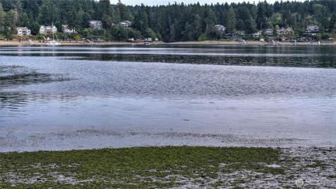 2415 48th Avenue Gig Harbor WA 98335